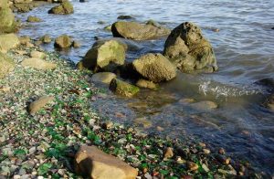 Photo of Glass Beach in Benicia, CA