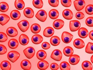 stem cells in regenerative therapy