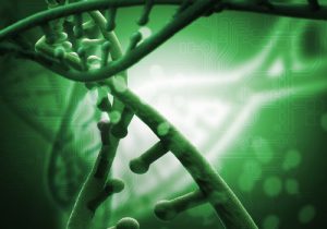 DNA molecule and regenerative therapy