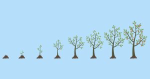 growth through functional medicine