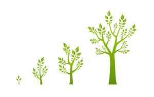 Green tree growth eco concept