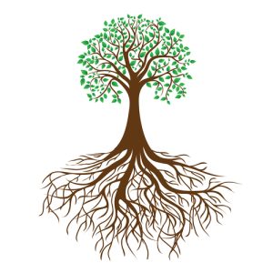better health with functional medicine